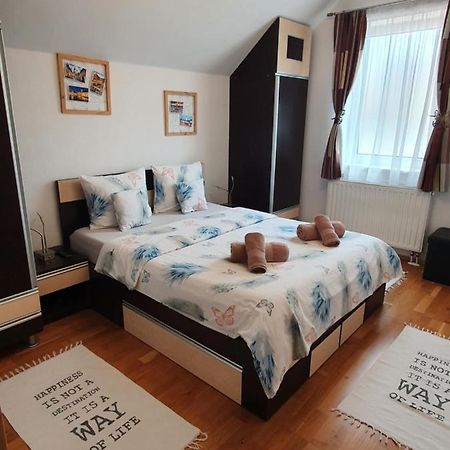 Smiley Apartment Sibiu Eksteriør billede