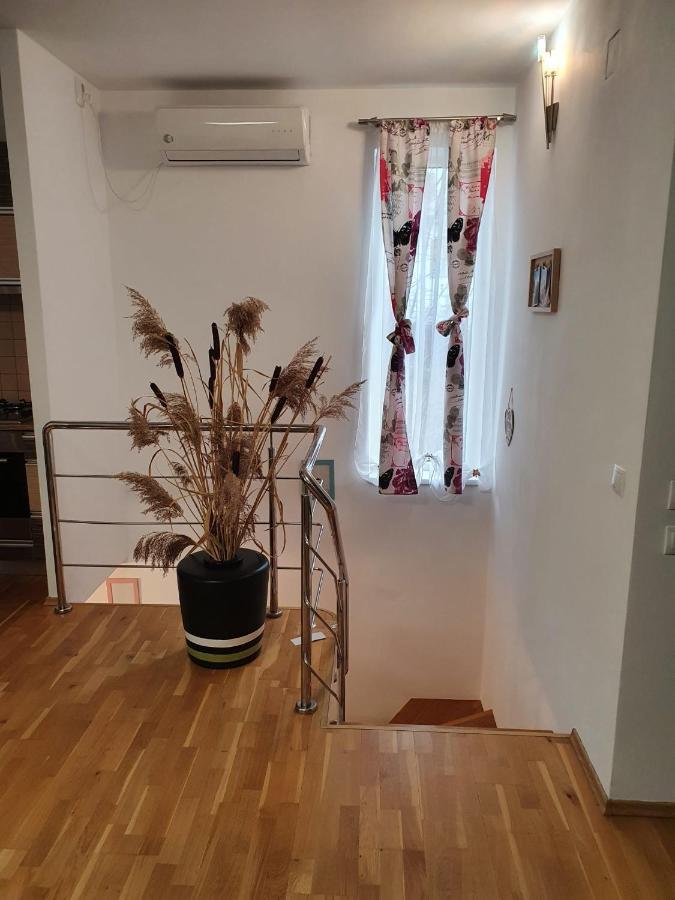 Smiley Apartment Sibiu Eksteriør billede