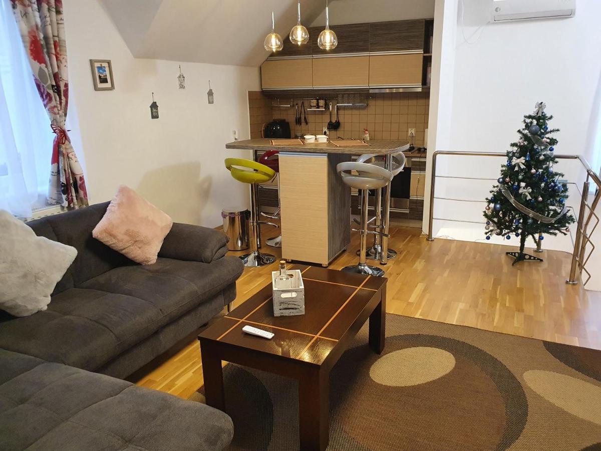 Smiley Apartment Sibiu Eksteriør billede