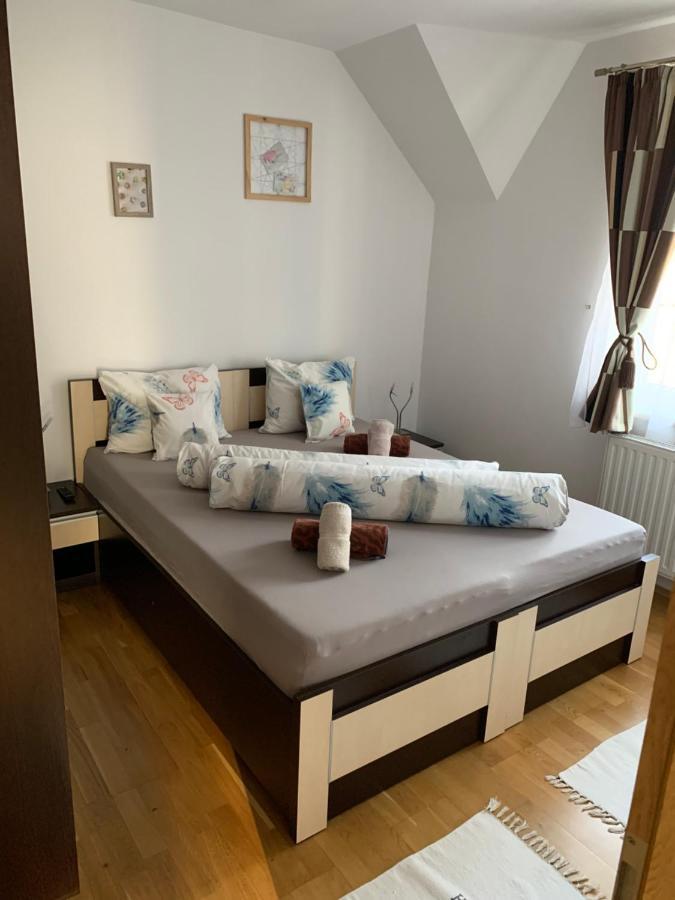 Smiley Apartment Sibiu Eksteriør billede
